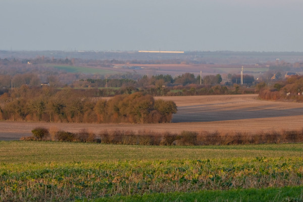 View of fields and clumps of trees and hedgerows at sunset.